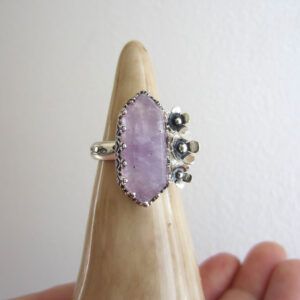 ANILLO LILAS SILVESTRES