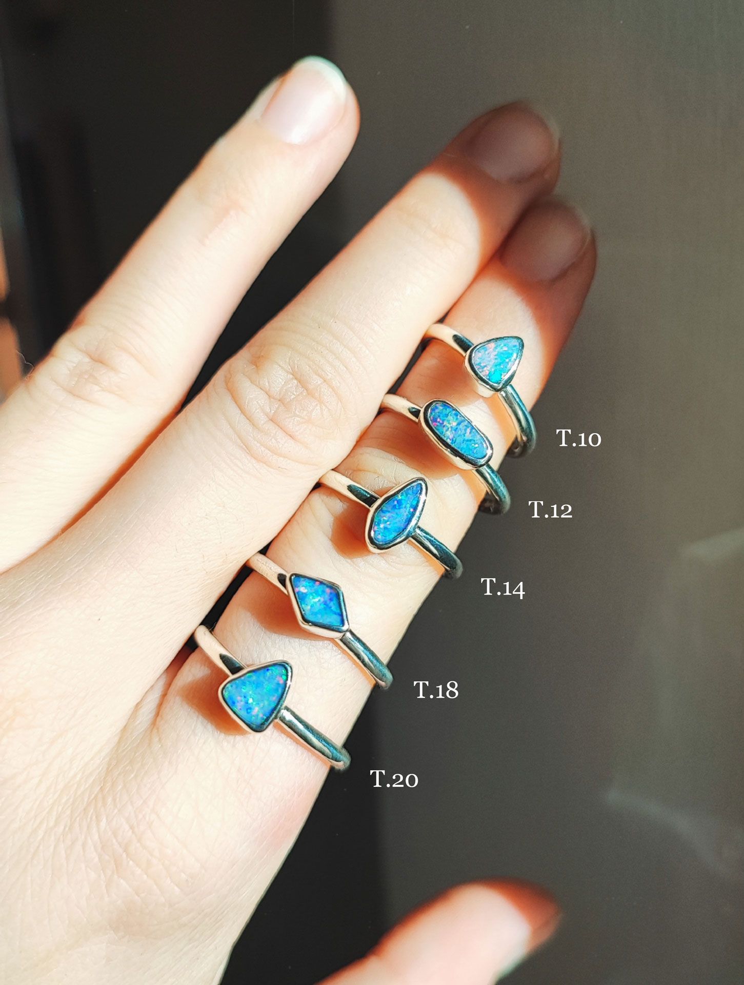 ANILLOS BOREAL - Imagen 12
