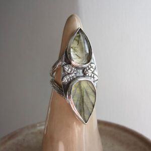 ANILLO BREZO T.17